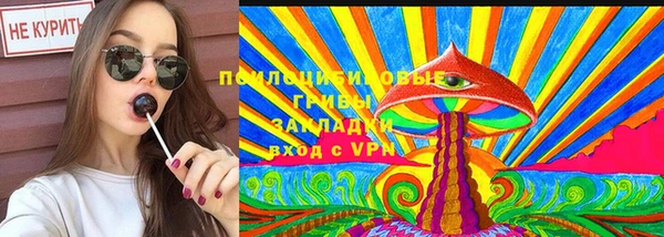 гидропоника Белоозёрский