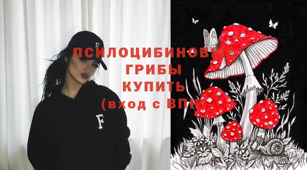 синтетический гашиш Белокуриха